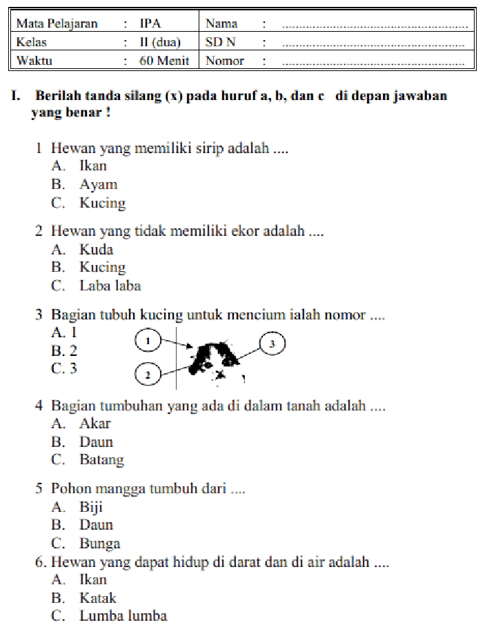5 Fakta Mengejutkan Latihan Soal PAS Kelas 2 SD yang Wajib Orang Tua Tahu Sebelum Terlambat