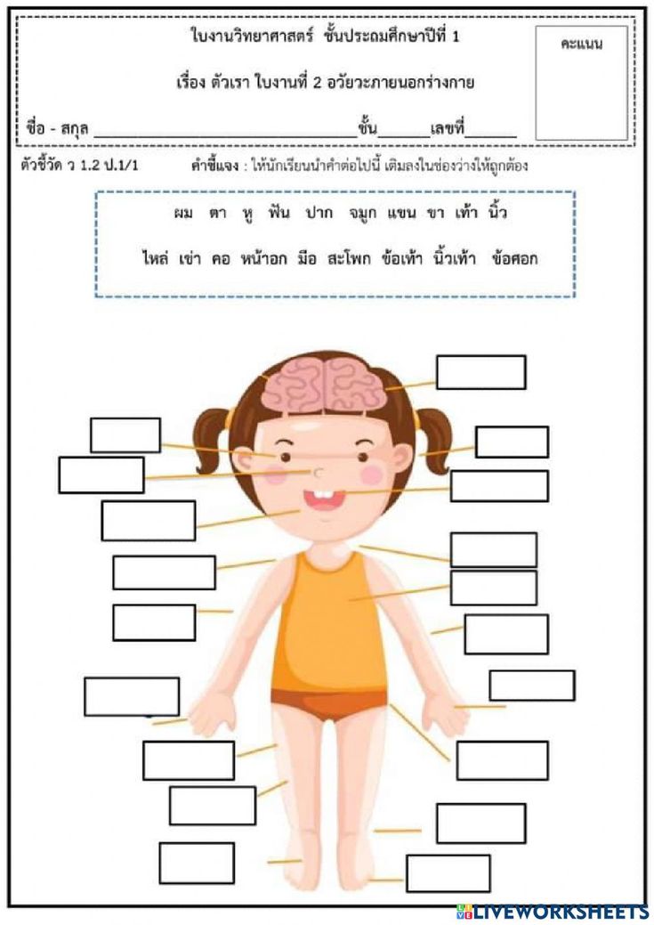 Link Download Soal UTS PAI Kelas 4 Kurikulum 2013 PDF Terbaru Agar Nilai Maksimal Link Download Soal UTS PAI Kelas 4 Kurikulum 2013 PDF Terbaru Agar Nilai Maksimal