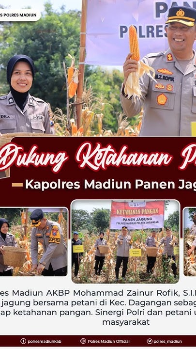 Rahasia Lulus Ujian Ternyata Ada di Kumpulan soal sbdp kelas 4 semester 2 Ini Rahasia Lulus Ujian Ternyata Ada di Kumpulan soal sbdp kelas 4 semester 2 Ini